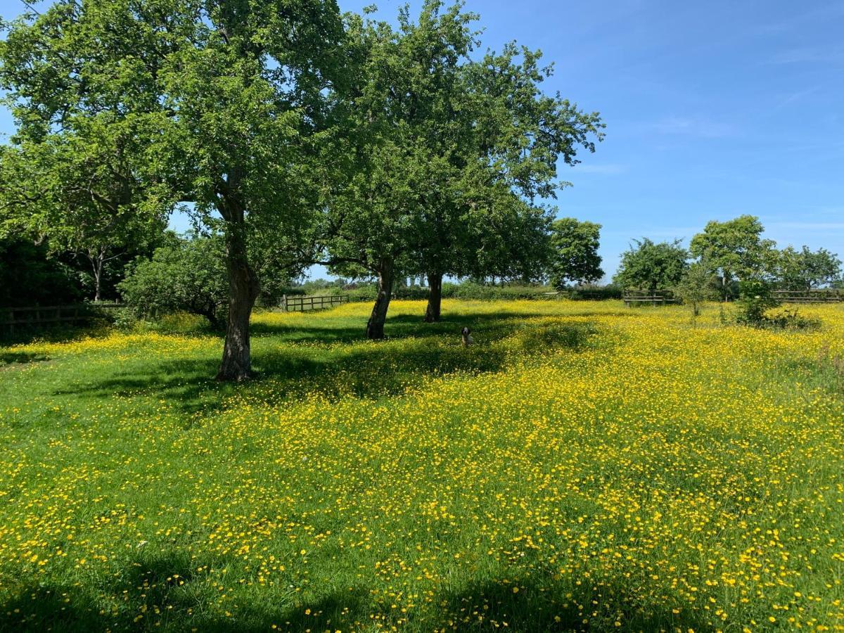 NewentBeautiful Rural Apt, Walking Distance To Three Choirs Vineyard/Brassiere Gloucestershire公寓 外观 照片